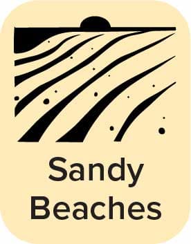 Sandy Beaches