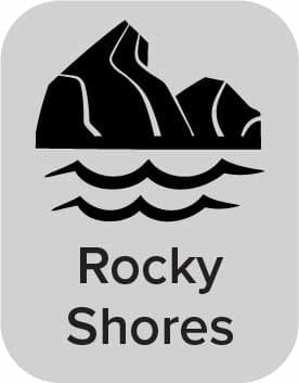 Rocky Shores