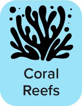 Coral Reefs