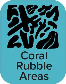 Coral Rubble