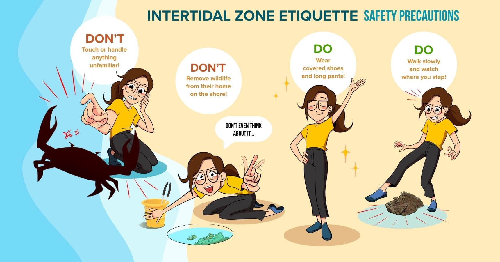 Intertidal Zone safety precautions