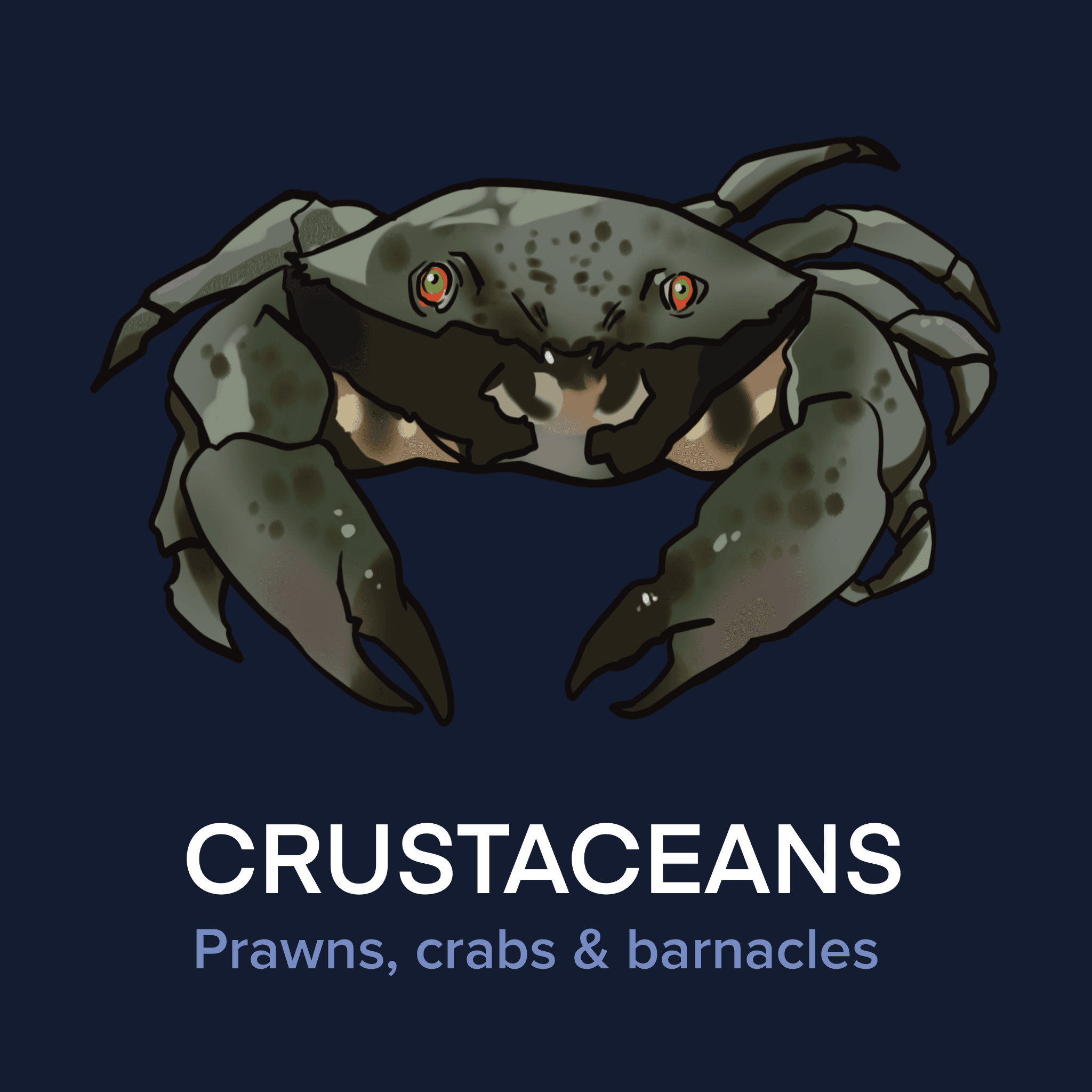 Crustaceans