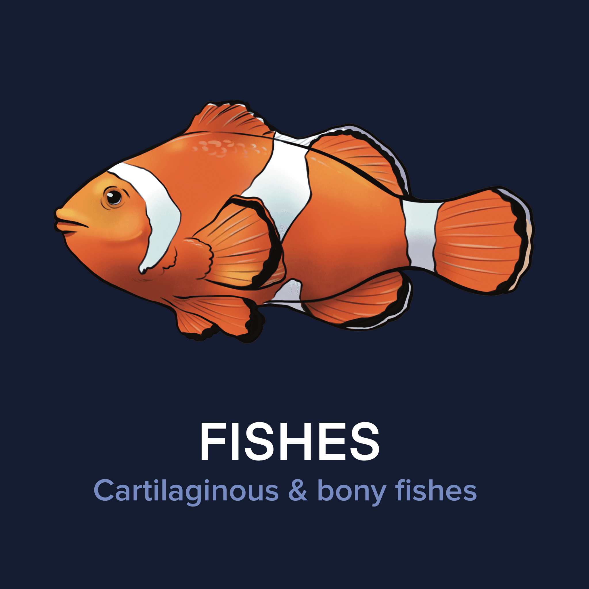 Fishes