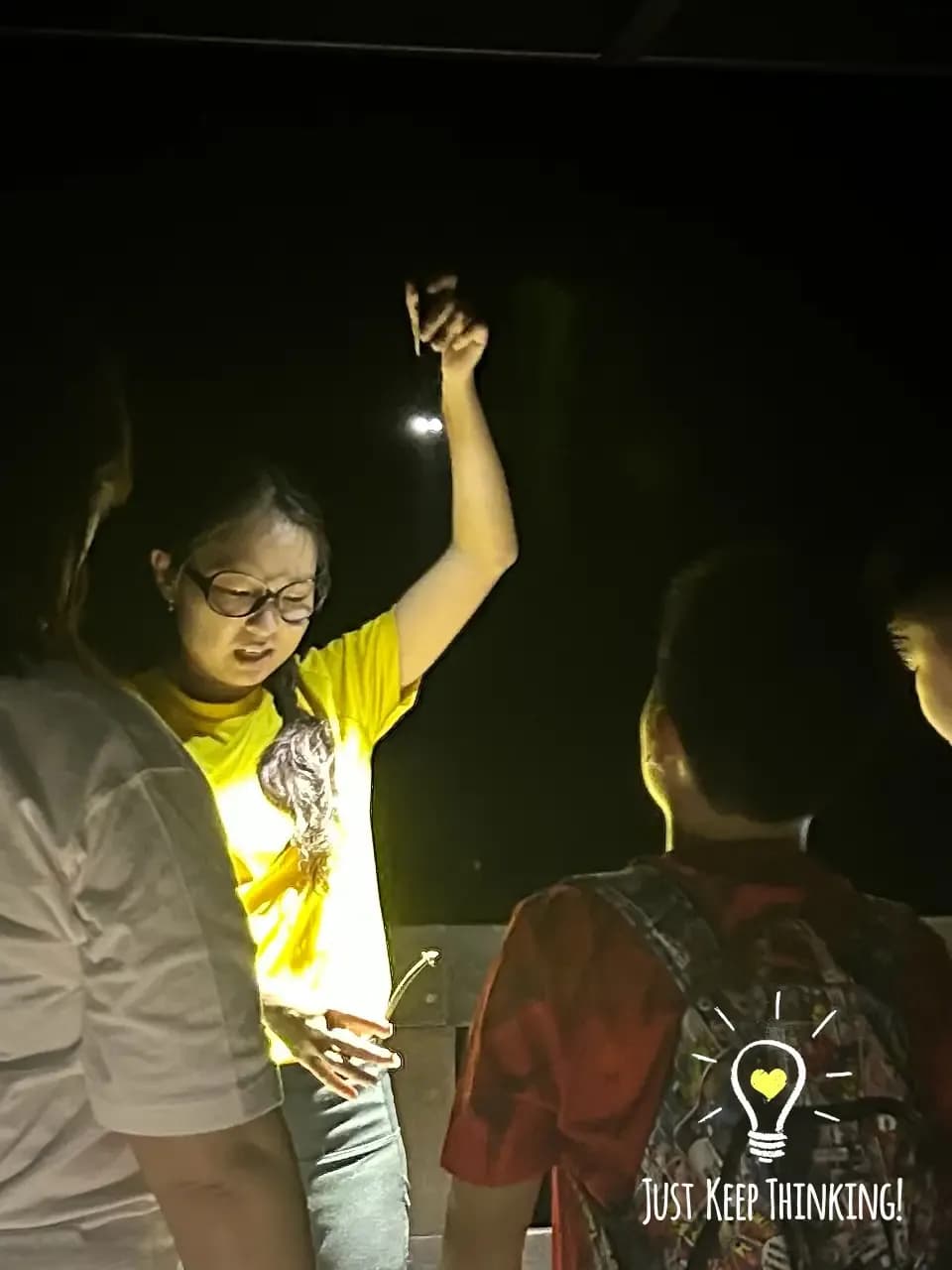 Mangrove night walk photo 5
