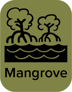Mangrove_Logo