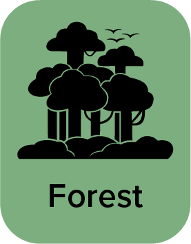 Forest_logo