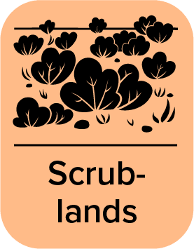 Scrublands_Logo